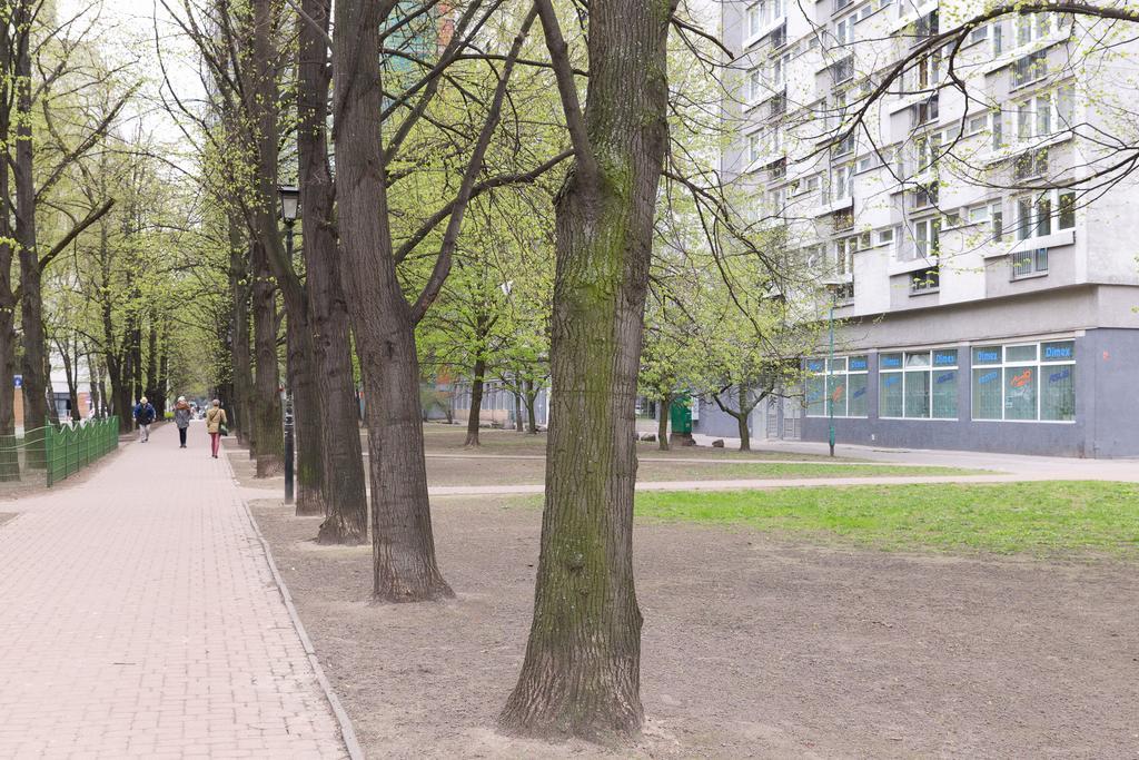 Studio Grzybowska - Warsaw Center الغرفة الصورة